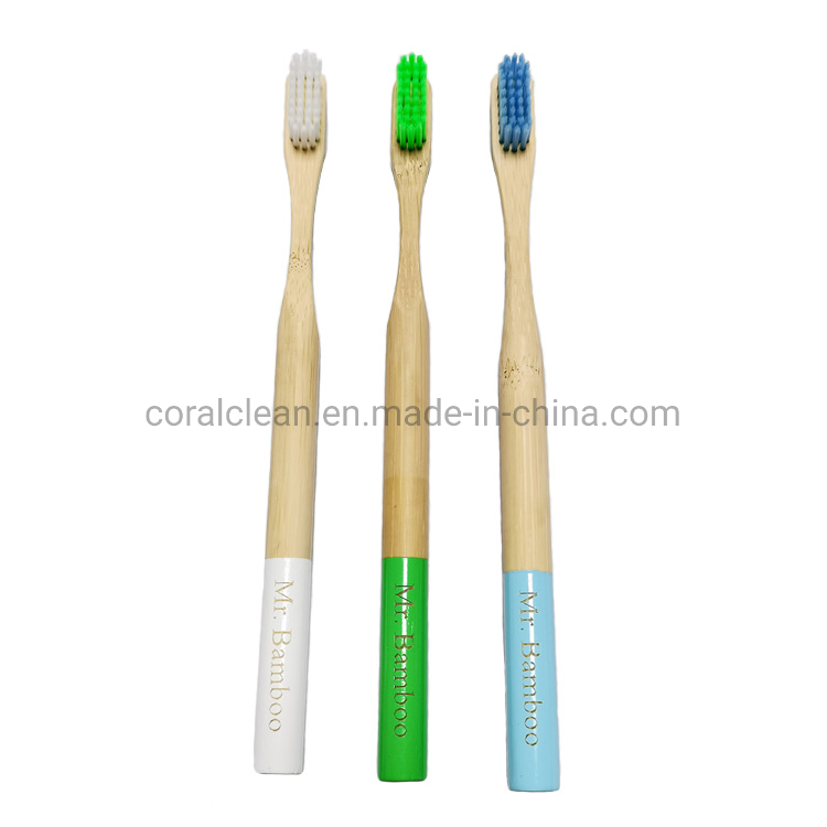 Mr. Bamboo Biodegradable Bambu Toothbrush for Home Hotel Travel