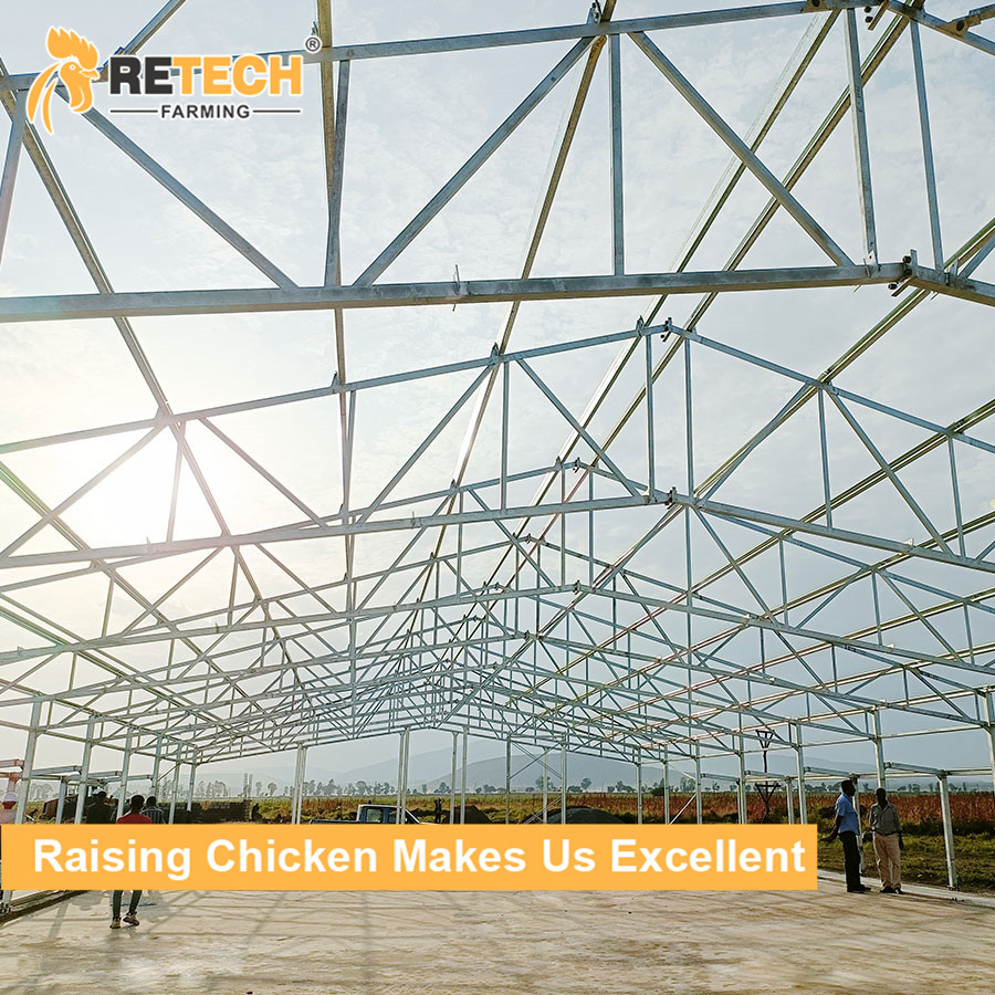 Chicken House with Chicken Cage Egg Layer and Prefab Steel in the Chicken Farm