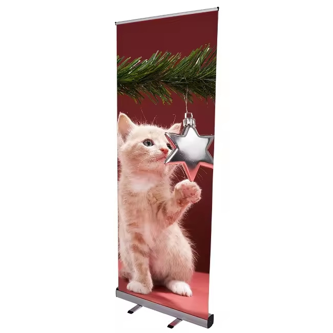 Customizable High-Quality Roll-up Banner for Events and Promotions