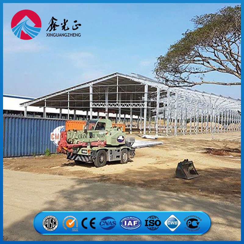 Reinforced Steel Column Support System Chicken Prefab Metal Farming Equipment Steel Structure Sheep/Goat/Pig/Hog/Cattle/Cow/Poultry House/Shed