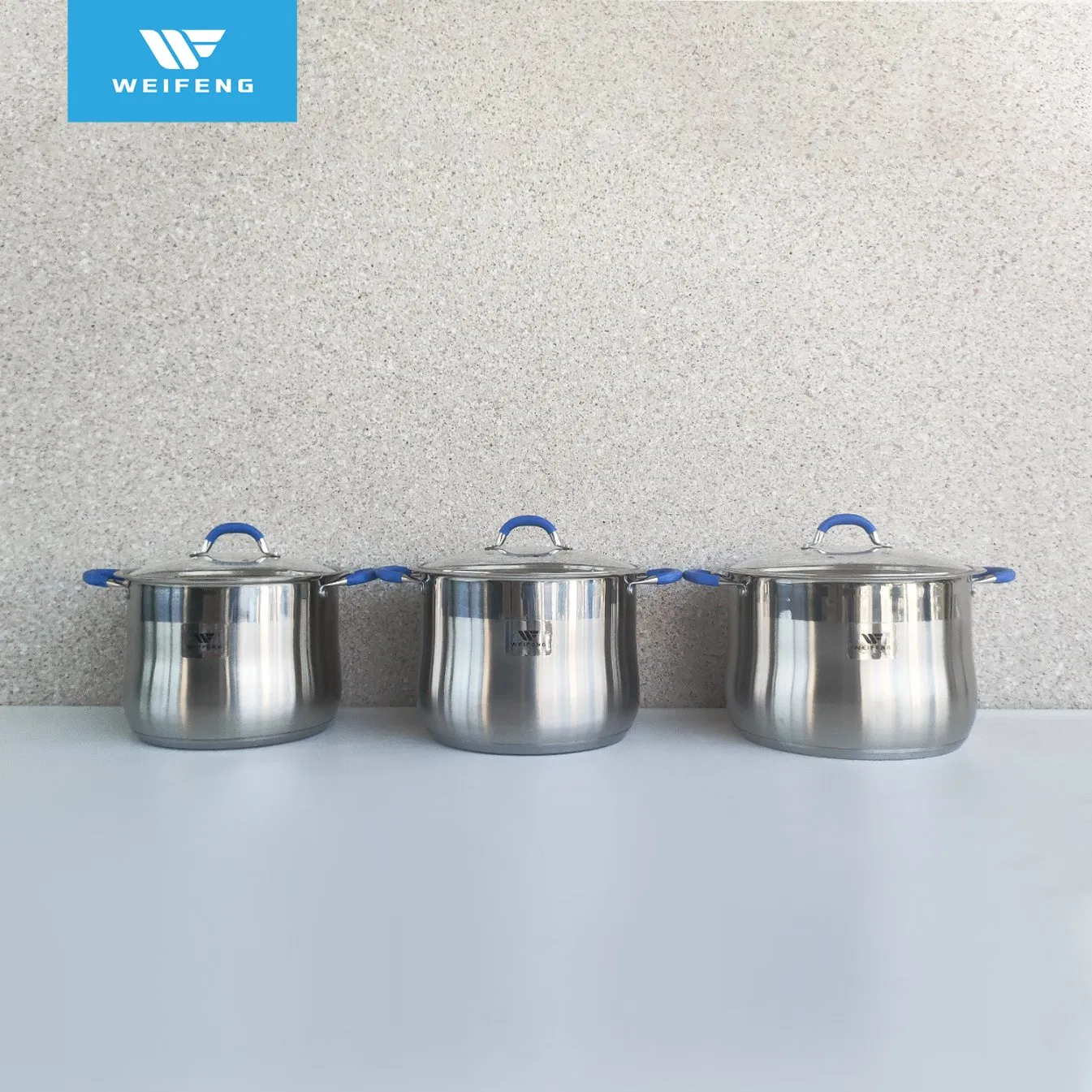 9 Pieces Stock Pot Stainless Steel Cookware with Blue Silicone Handle