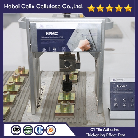 Water Resistance, Adhesion, Flexibility Vae-Rdp for Self-Leveling