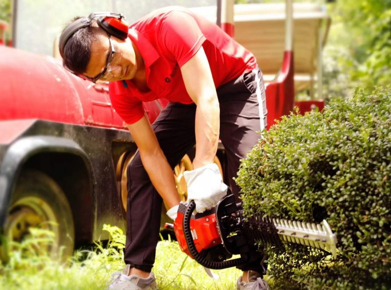 Petrol Hedge Trimmer 23cc Gasoline Euro II