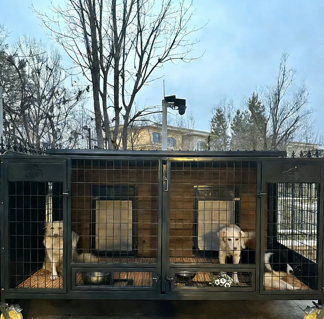 Durable Raised Floor Design Detachable Roof Panel Solid Wood Dog House