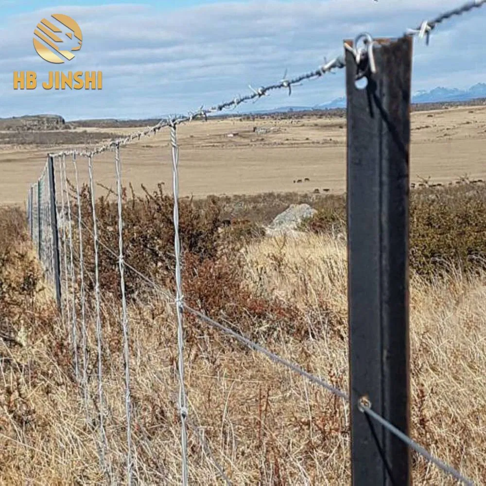 Factory Cheap Price 2.04kg/M 1800mm Height New Zealand Steel Y Fence Post Pickets