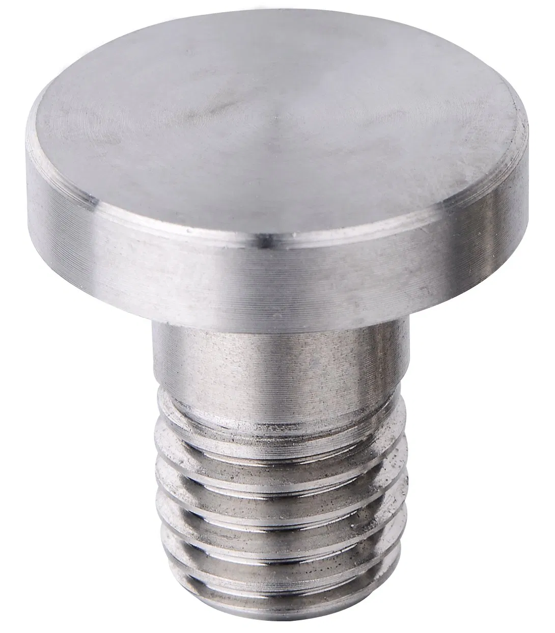 Customized Round Head Flat Head Bolt/Screw Made From Diversed Material Made in China
