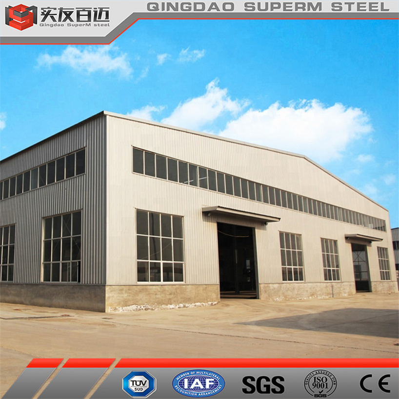 Professional New Design Steel Building Storage Prefab Warehouse Farm Food Production Workshop House Plant Building for Sales