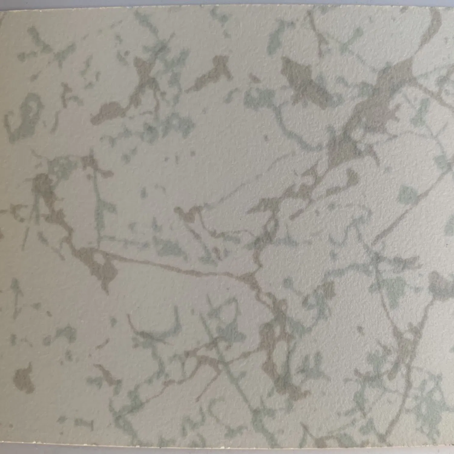 Surface Resistance Flexural Strength Properties Conductive Anti-Static Lamninate HPL