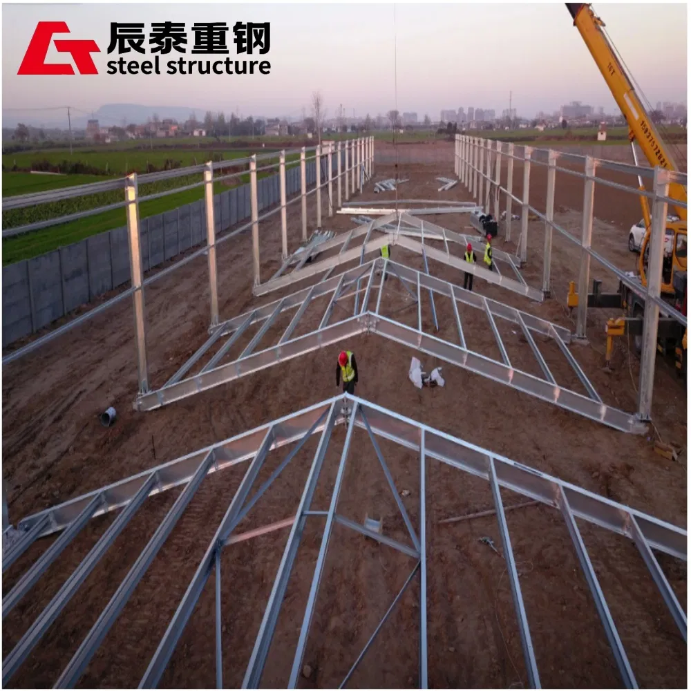 Factory Prefabricated High-Efficiency Installation of Large-Span Galvanized H-Shaped Steel Structure Metal Frame Farm Buildings.