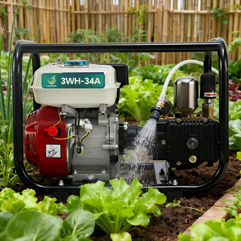 Powerful Gasoline Engine Sprayer Stroke Piston Pump Excellent for Agricultural and Household Tasks