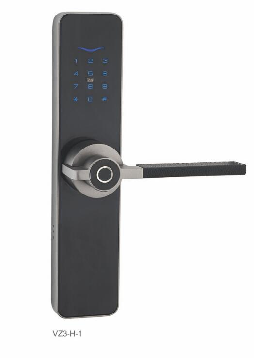 Intelligent Door Lock Fingerprint Lock Password Lock (SIN R050)