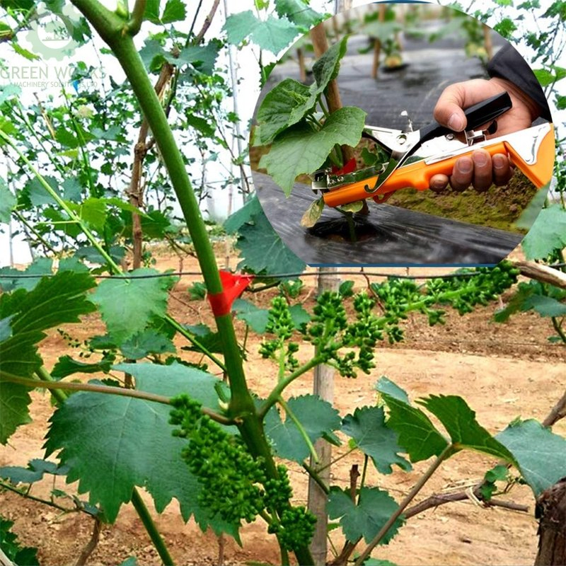 Wholesale Agriculture Plant Tying Machine with Tapes Used in Tomatoes Peppers Grapes Cucumbers, and Vining Vegetables Tie Tool for Gardeners Farmers