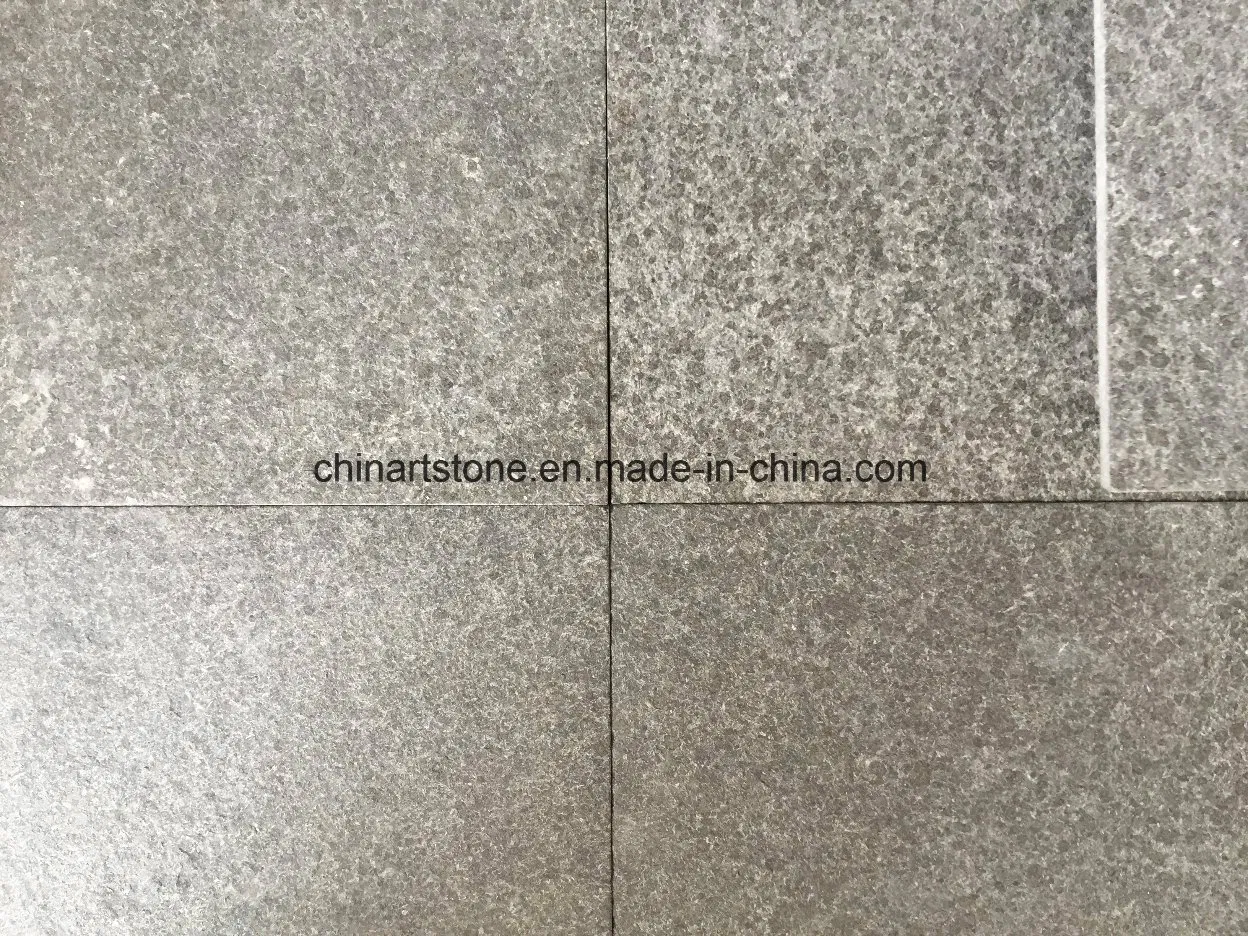 China Flamed Pearl Black Granite Tile for Garden Paving