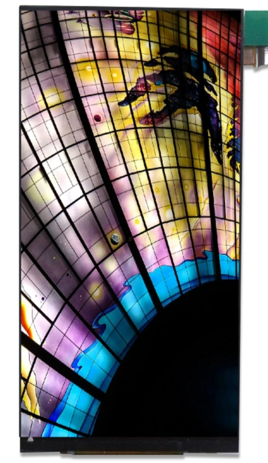 6.1 Inch Phone LCD Touch Screen