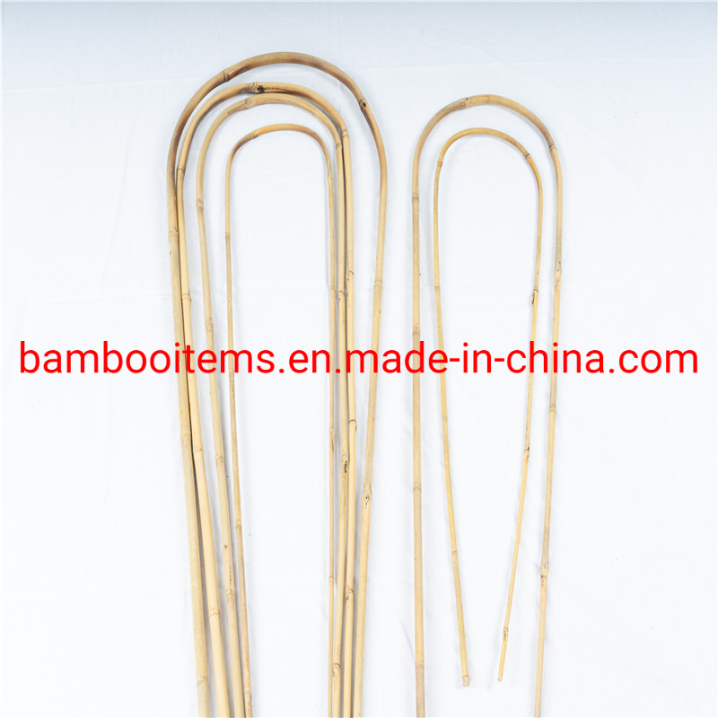 U Shaped Bamboo Cane /Natural Bamboo U Hoop