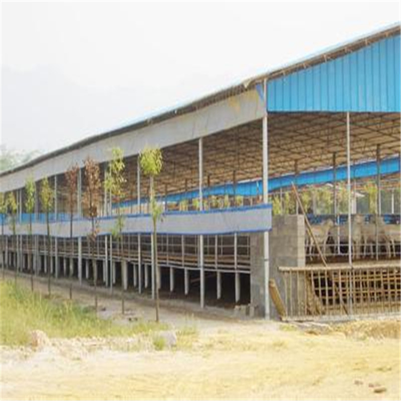 Modern Design Large Span Livestock Farm House Prefabricated Light Steel Structure Frame Metal Prefab Barn Pig Sheep Goat Cattle Cow Dairy Shed Building