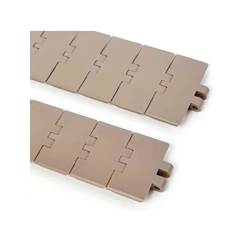 Plastic Flat Top Conveyor Chain (TS550SS-P, TS635SS-P, TS762SS-P, TS826SS-P)