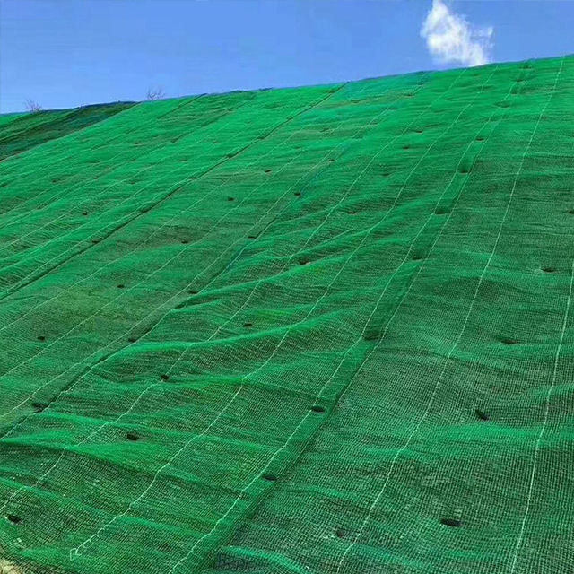 Turf Protection Protecting Soil and Protecting Slope Geomat Erosion Control Blanket