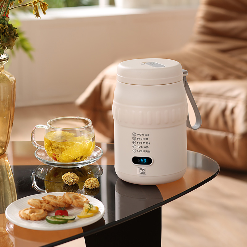 Smart Portable 5-in-1 Electric Kettle, 500ml, Type-C & 220V Dual Charging