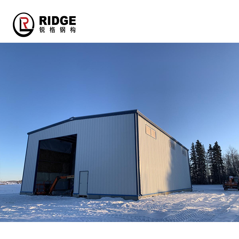 Prefabricated Steel Completed Buildings for Hangar and Shed Workshop