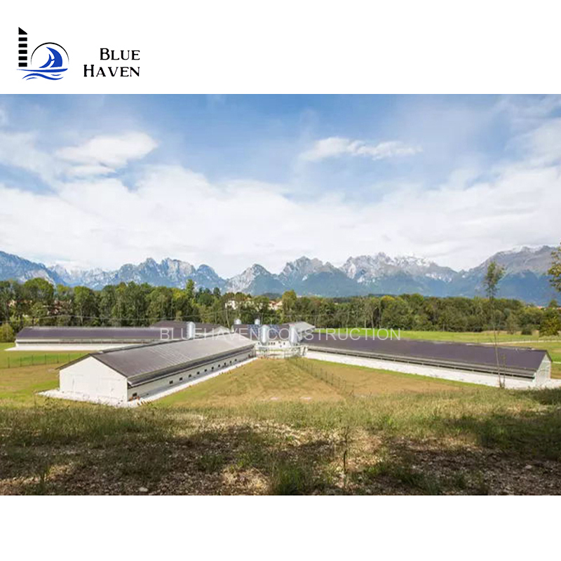 Steel Structure Layer Egg Chicken Cage Broiler Poultry Farm House