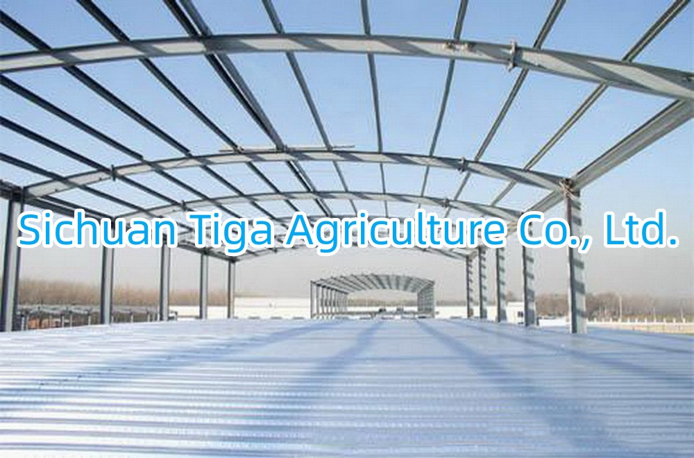 Customized Steel Structure Constructions for Factories, Warehouses, Cold Storages and Green House