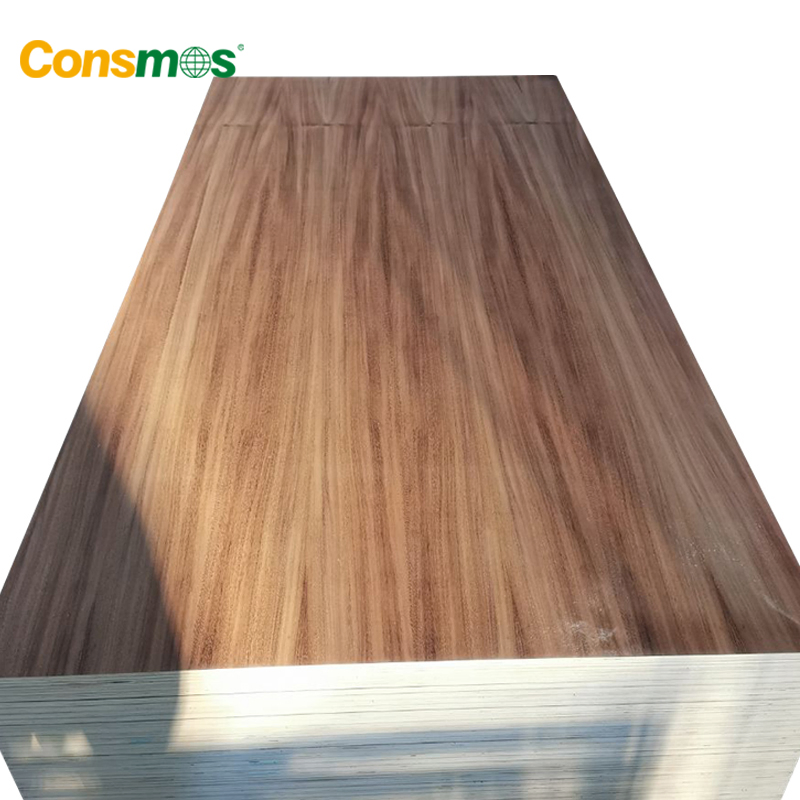 Wholesale Furniture Decoration Red Oak Black Walnut Parota Fancy Plywood