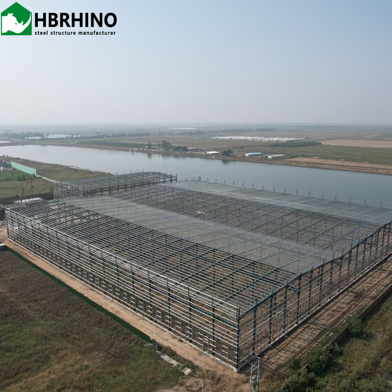 Multi-Story Large Span Prefabricated Steel Structure for Workshops Plants Warehouses Museums Gyms Shopping Malls and More