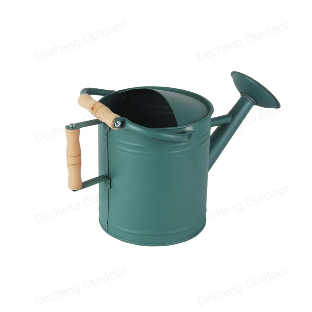 Watering Can Plant Watering Perfect for Indoor Outdoor