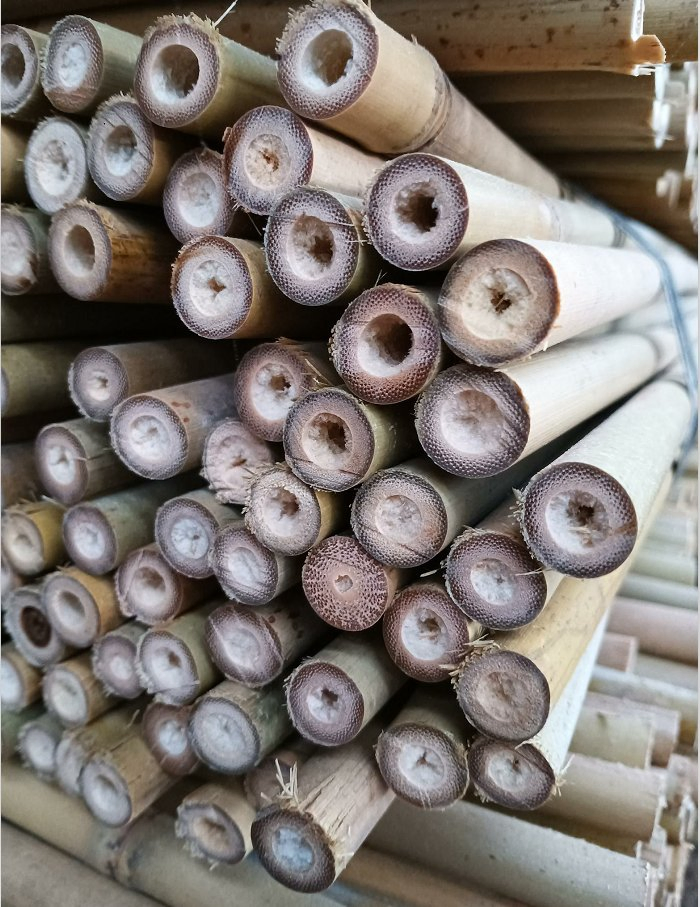 Tonkin Bamboo Poles Used for Flower Racks on Garden Farms/Bamboo Rods Straight
