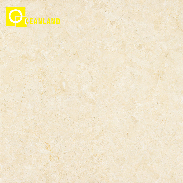 Waterproof Modern Design Glazed Tile Household Wholesale Polished Tiles