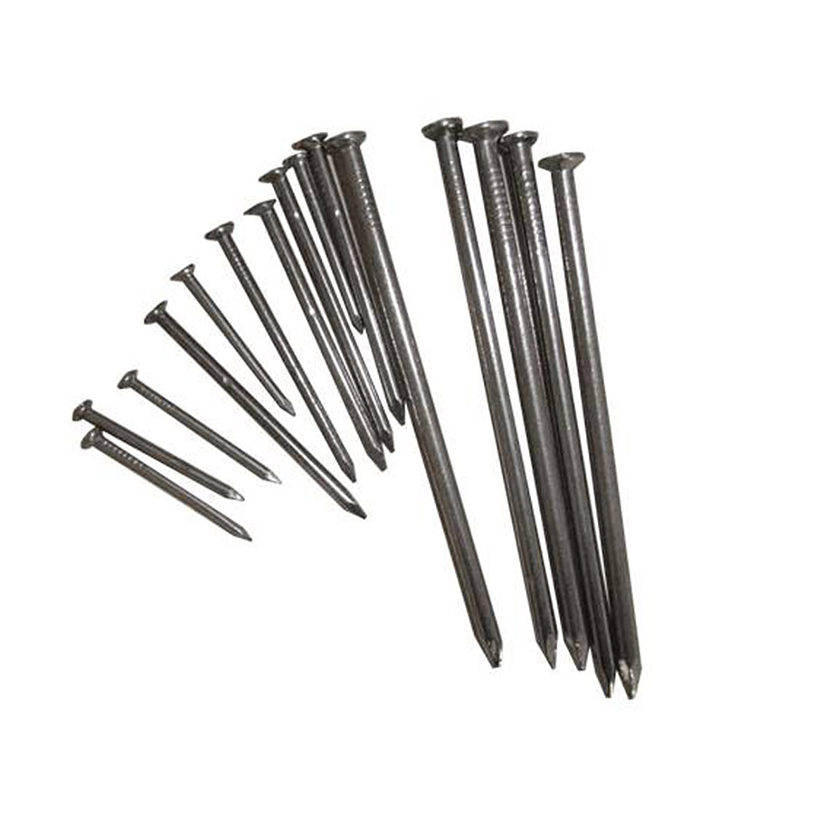 Galvanized Round Wire Common Iron Nail Steel Nail for Framing Construction