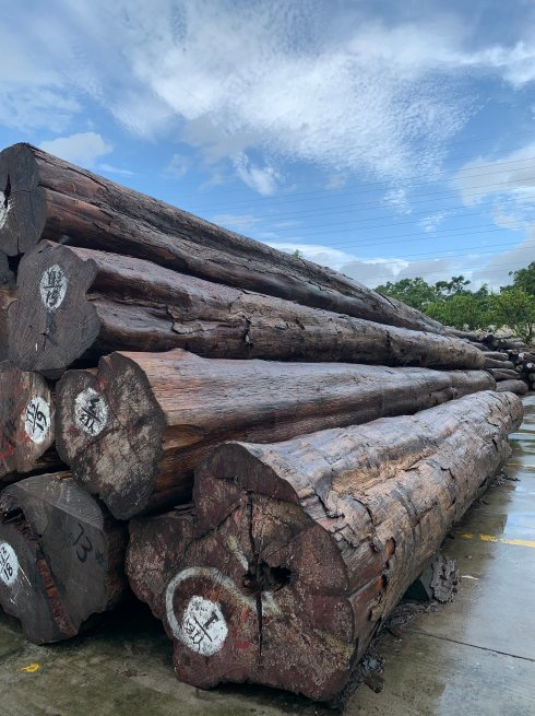 Imported Teak Logs From Myanmar That Are Not Easily Deformed or Cracked