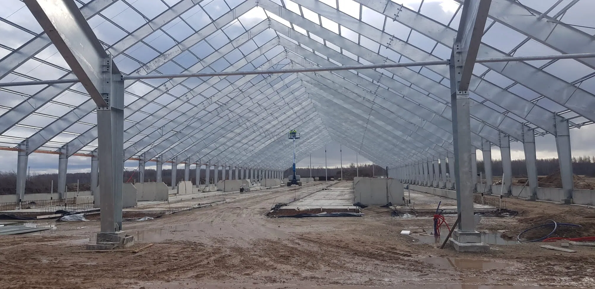 Easy Install and Maintenance Steel Structure/Warehouse/Workshop/Building