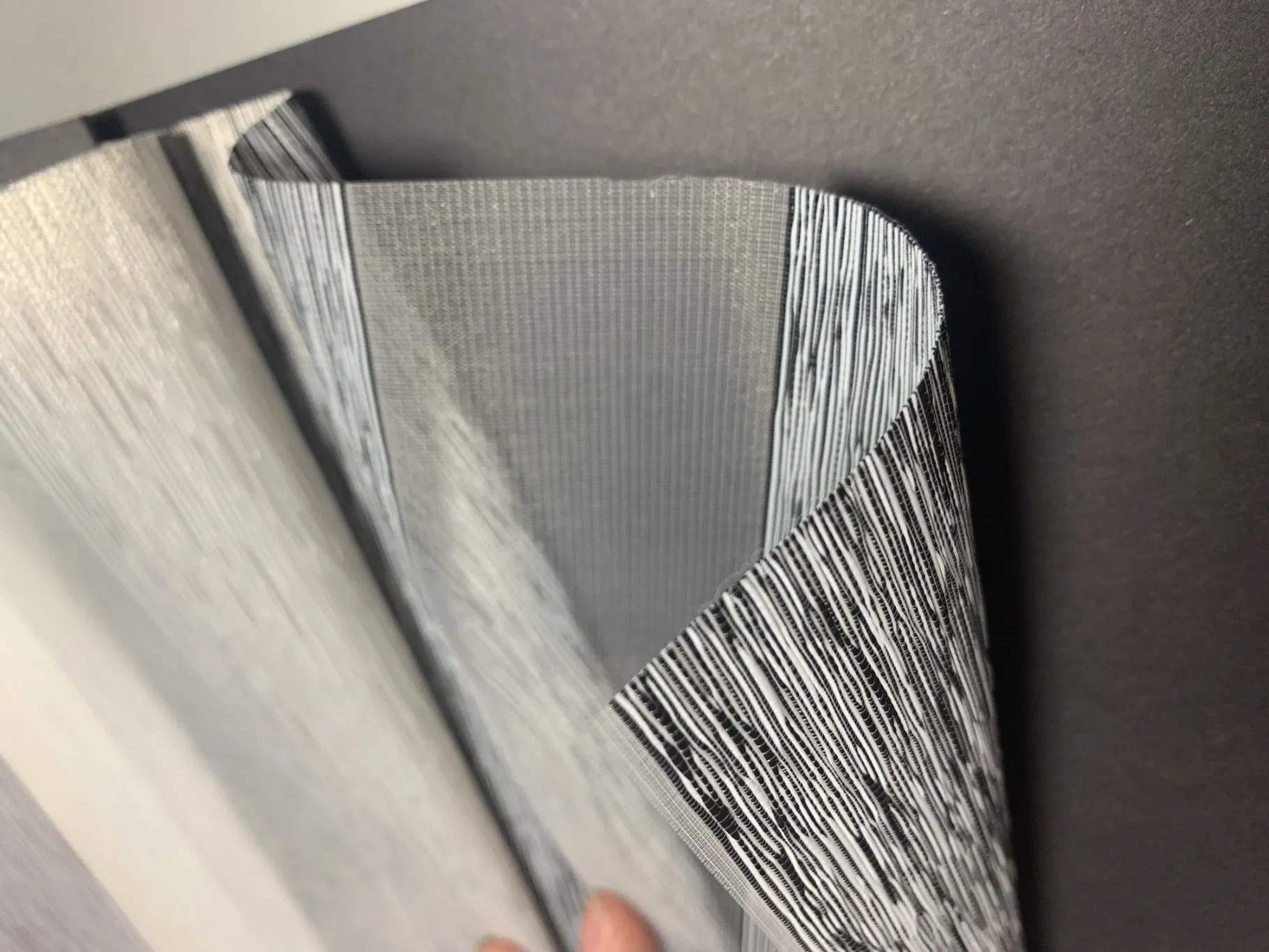 Zebra Blinds Fabric Roller Blinds Window Shades Curtain Day Night