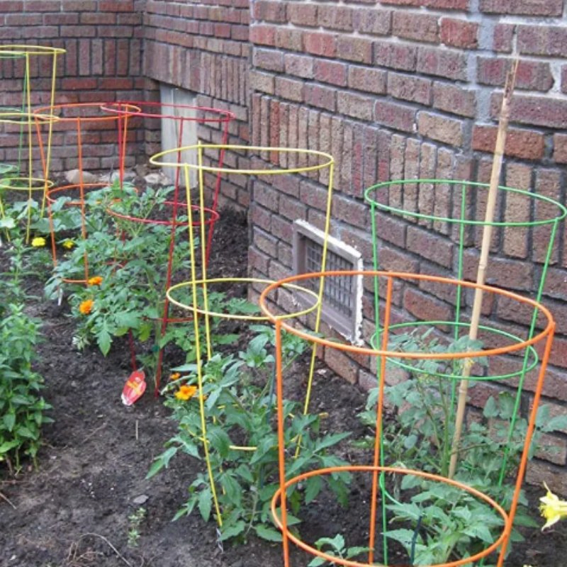 Galvanized Steel Green Painted Plant Support Tomato Cages Garden Cage