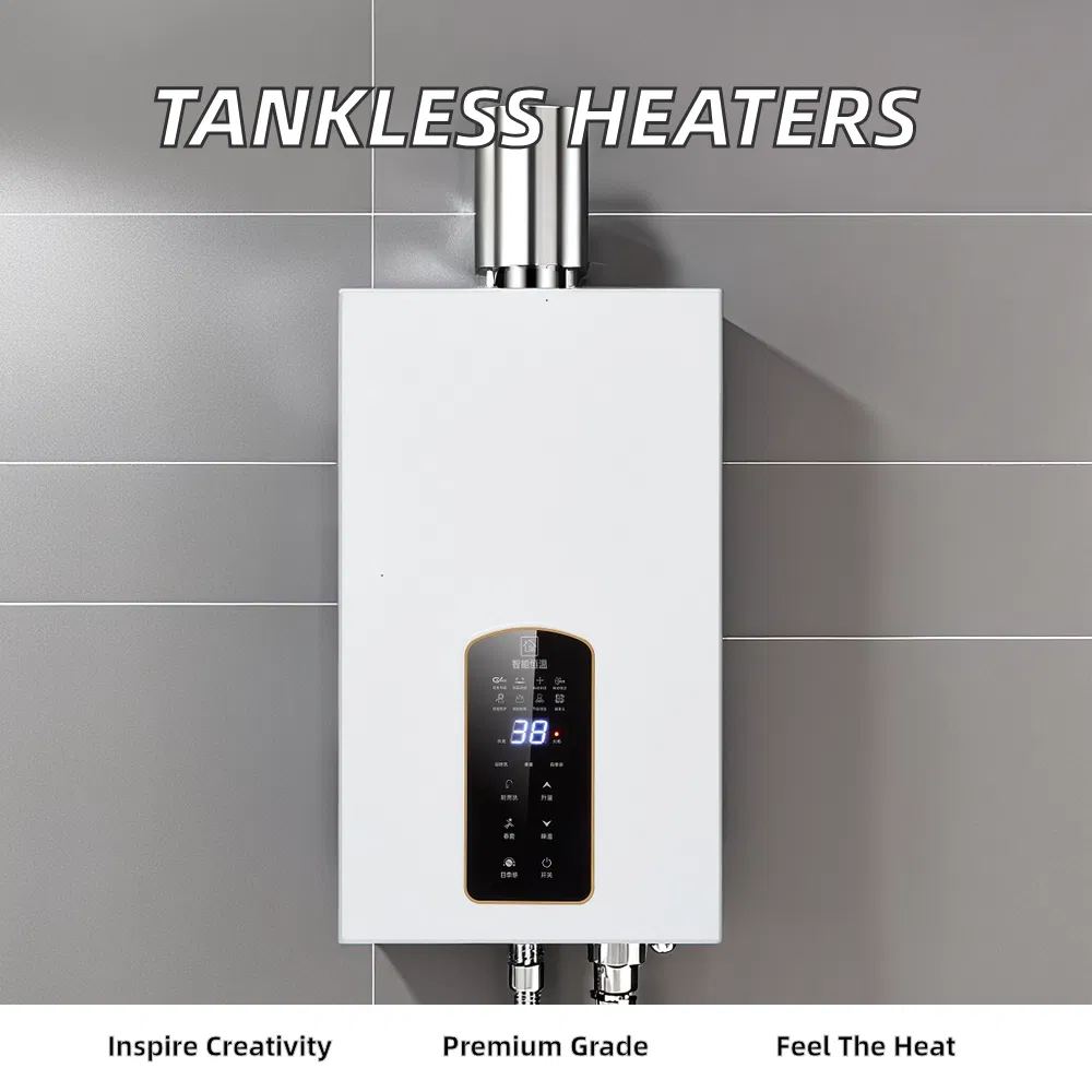 Home Appliance Flue Type Tankless Instant Gas Water Heater Gas Geyser Boiler with Custom Logo