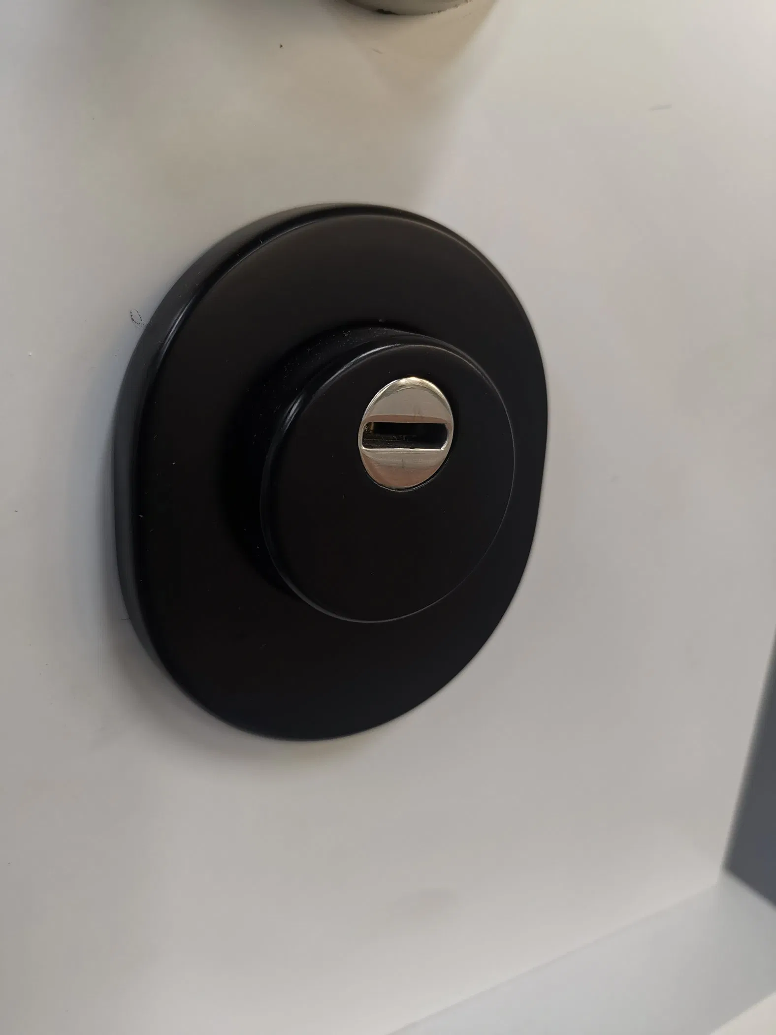 Stainless Steel Precision Casting Multi-Point Safety Door Lock Cylinder Protector