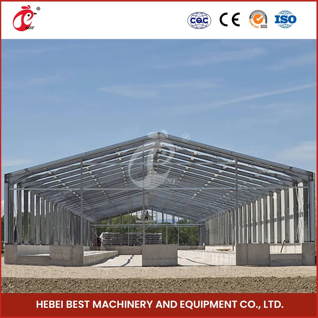 Bestchickencage Steel Poultry House China Modular Prefabricated Poultry House Supplier Sample Available Good Plasticity Steel Structure Poultry Houses