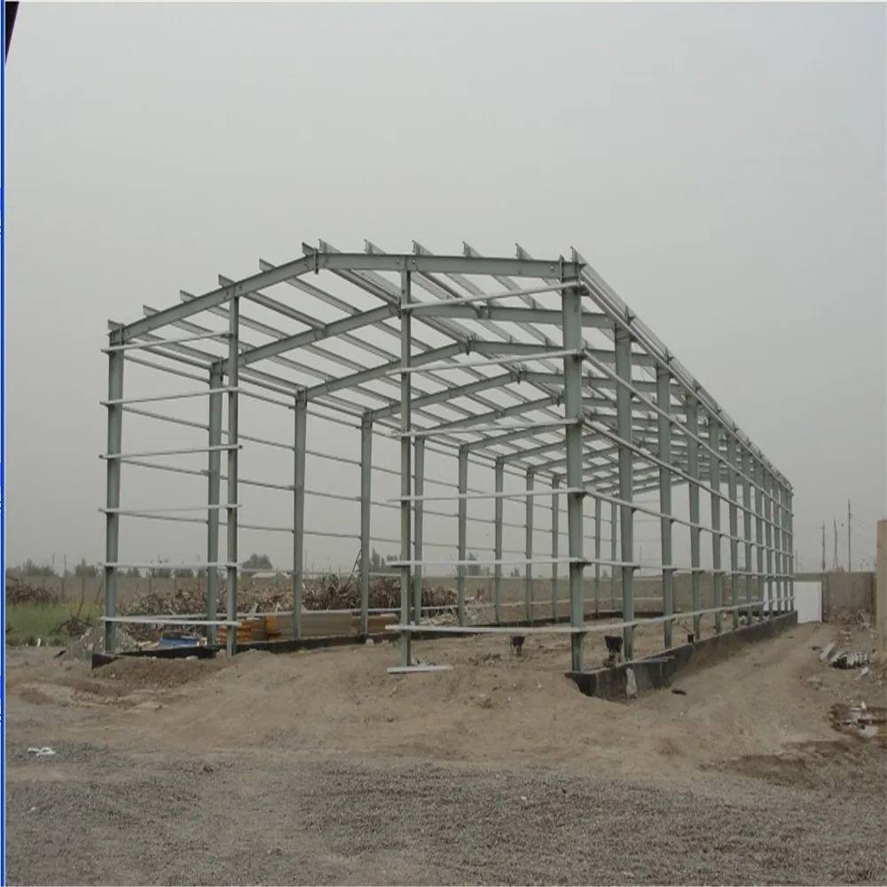 Prefabricated Warehouse Steel Structure Workshop Factory Prefabricated Hangar with Canopy Rainshed Awning