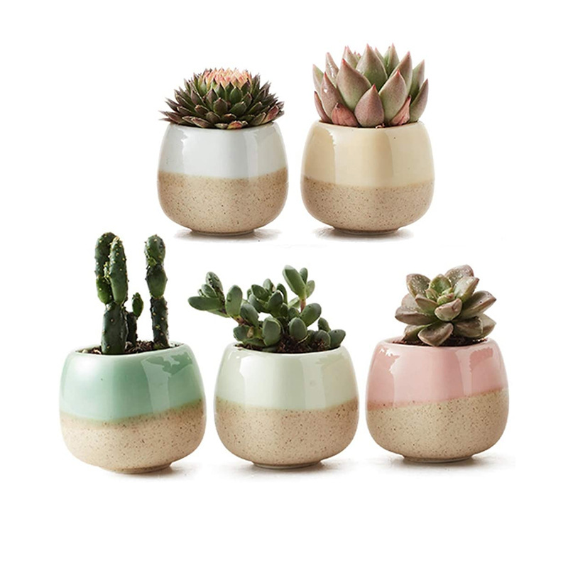 Горшок керамический квадратный для суккулентов