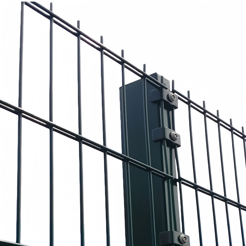 PVC Coated Garden Courtyard Safety Barrier Residential Community Perimeter Protection Double Wire Fence for School