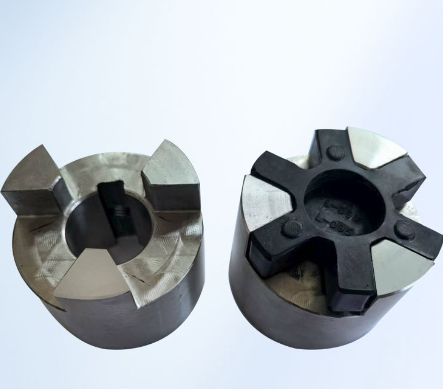 Stainless Steel Plum Blossom Coupling, High Rigidity Servo Motor Screw Rod Dedicated Coupling, High Torque Shock Absorption Accessory