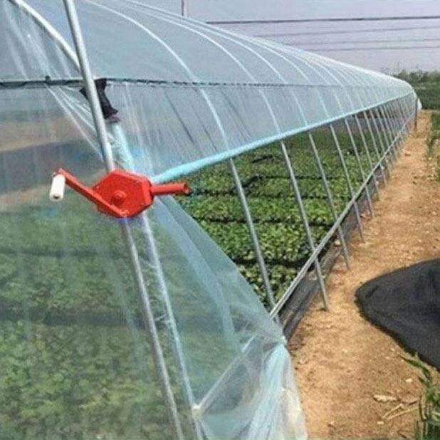 Plastic Film Tent Tunnel Greenhouse Steel Structure for Sale