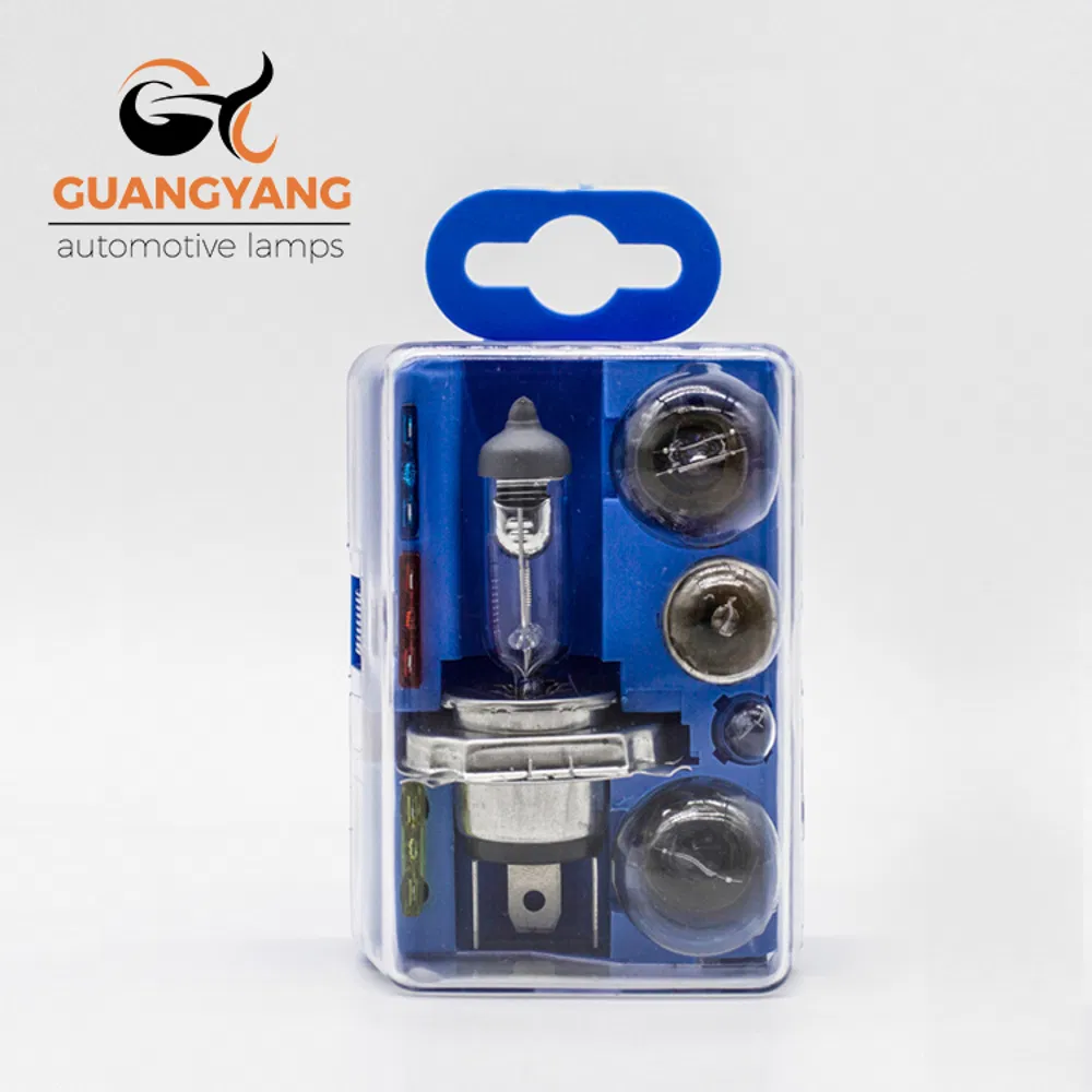 Manufacturer H4 12V Kit Box Car Halogen Lamp Auto Bulb