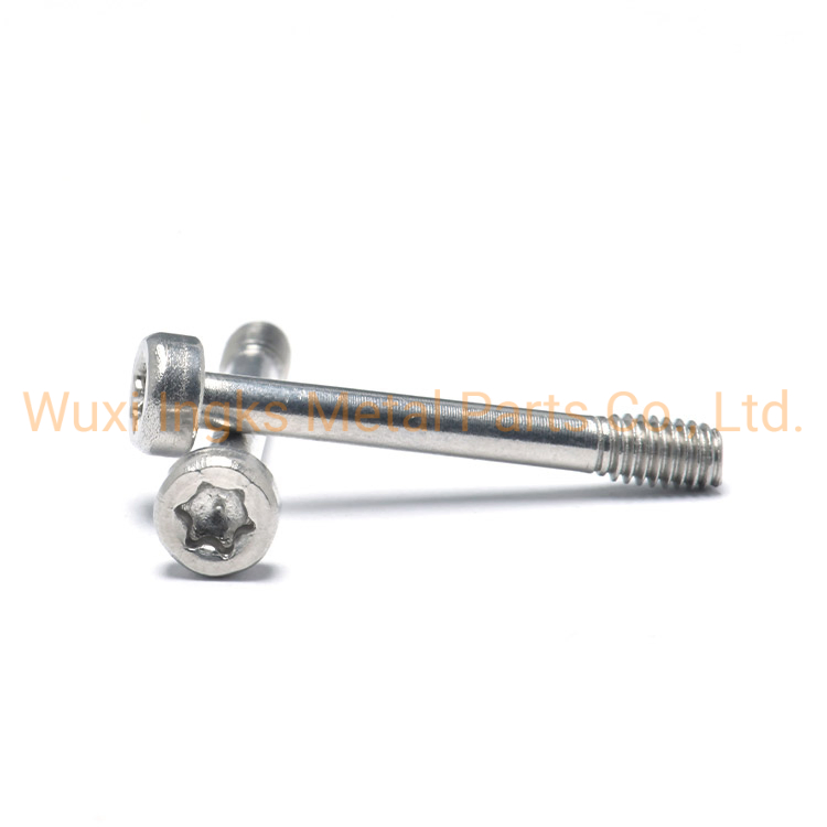 DIN912 Torx Socket Stainless Steel Inox Cheese Head Captive Screw