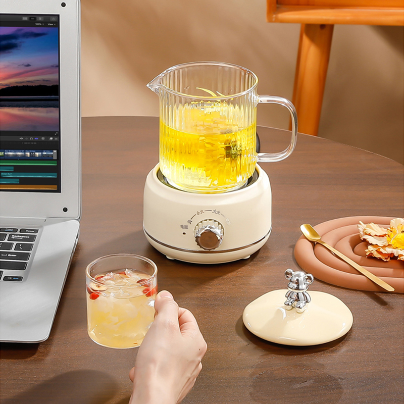 Kaiershi Jj-K500b Best Multipurpose Glass Health Kettle with Mechanical Control