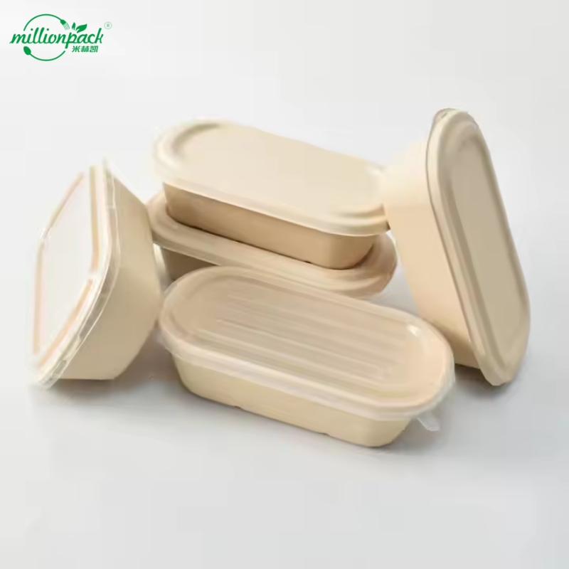 Eco-Conscious Disposable Square Box for Environmental Awareness Campaigns