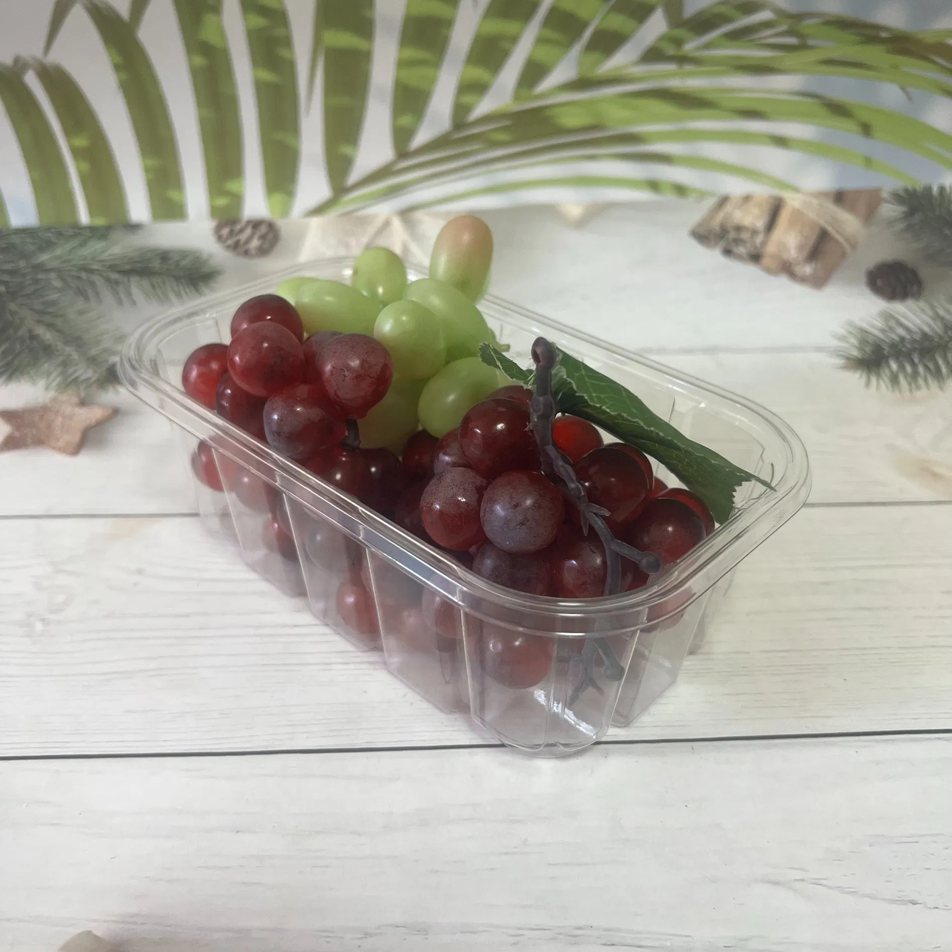 Plastic Cake Box Disposable