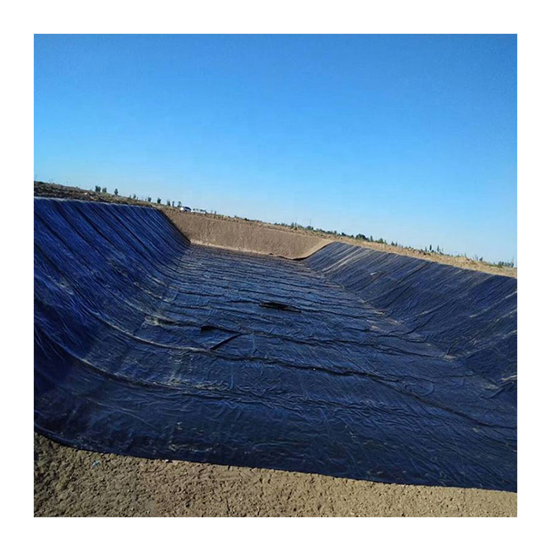 Geomembrane Price HDPE Pond Liner Geomembrana Fish Farming Tank Dam Liner HDPE Geomembranes for Fish Pond Fish Farm